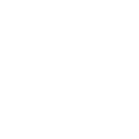 Champagne bottle and flute