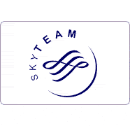 Sky Team Logo