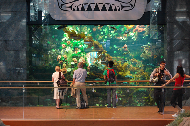 Vancouver Airport Aquarium 
