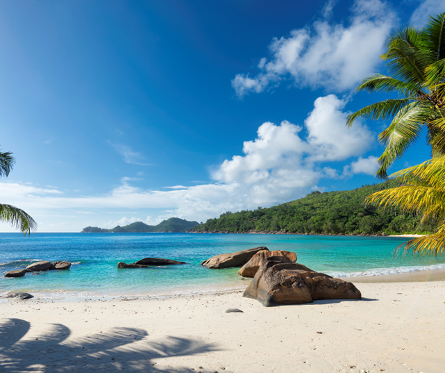 A beach in Jamaica