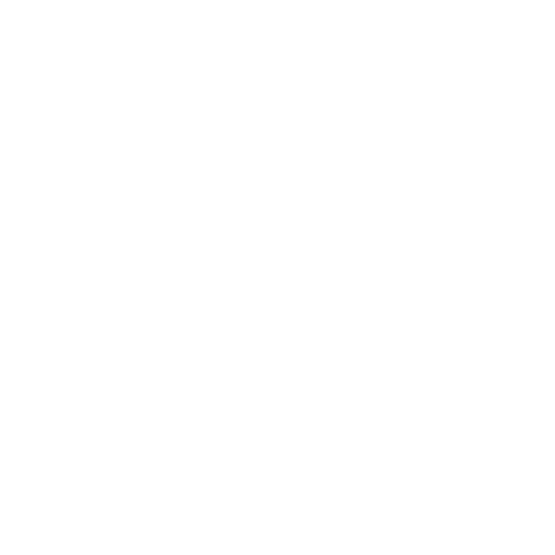 Hand Sanitiser icon